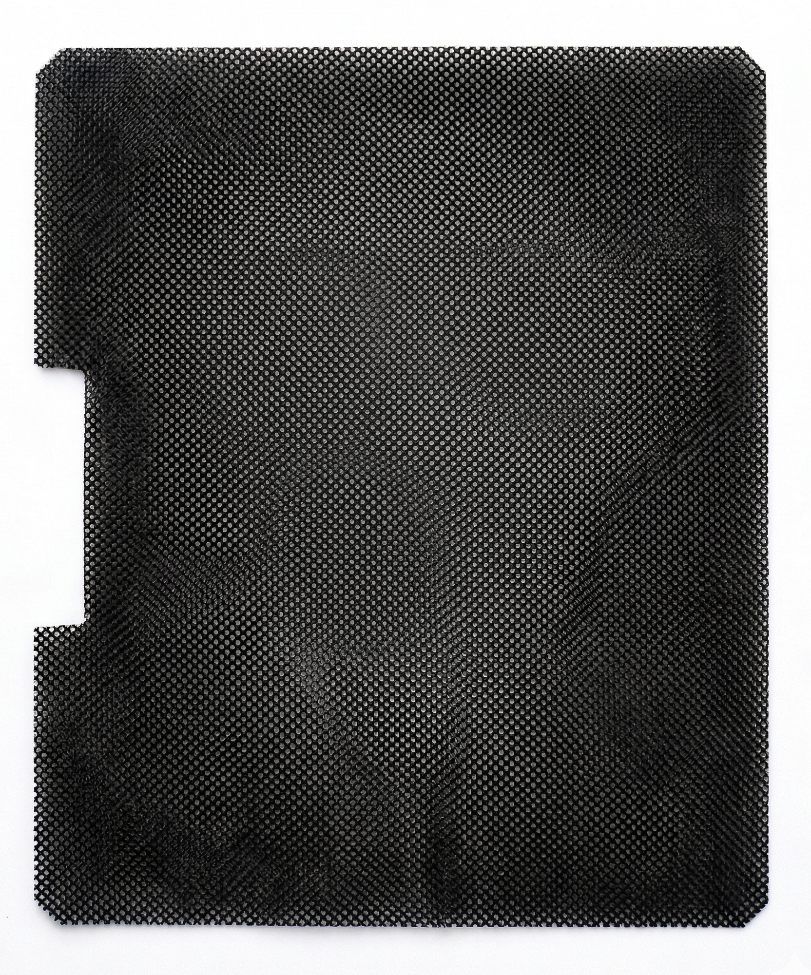 Carbon Filter Pury WF 17/21